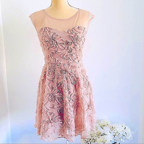 💕Fit and Flare Mesh Dress SZ S - Picture 3 of 15